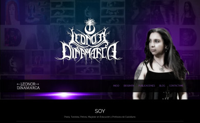 leonordinamarca.cl screenshot