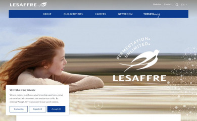 Bridge Lesaffre screenshot