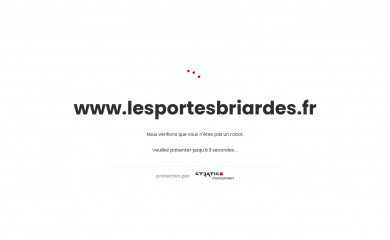 lesportesbriardes.fr screenshot