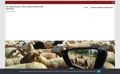 leretroviseur.fr screenshot