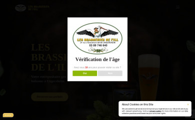 les-brasseries-de-lill.fr screenshot