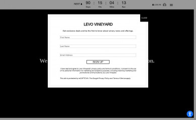 levowine.com screenshot