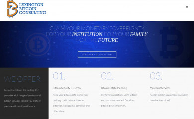 lexingtonbitcoinconsulting.com screenshot