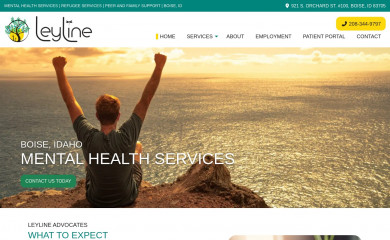 leylinemh.com screenshot