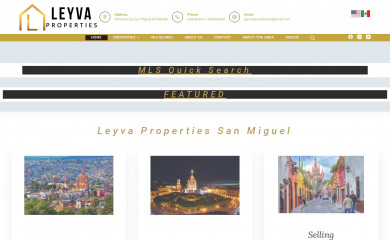 leyvaproperties.mx screenshot