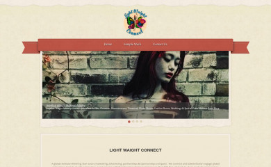 lightwaightconnect.com screenshot