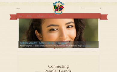 lightwaightconnect.com screenshot