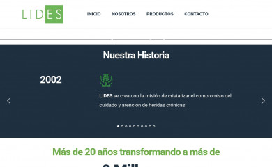 lides.com.mx screenshot