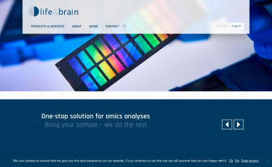 lifeandbrain.com screenshot