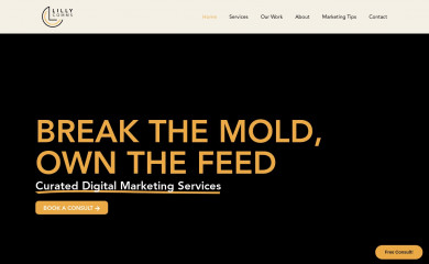 lillycoms.com screenshot