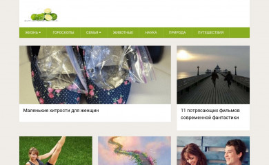 http://lime.energy screenshot