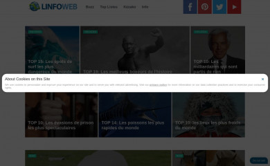 linfoweb.com screenshot