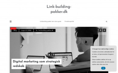 link-building-pakker.dk screenshot