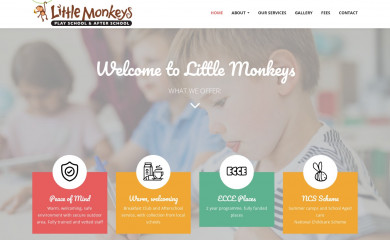 littlemonkeys.ie screenshot