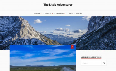 littleadventurertravels.com screenshot