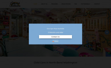 littlearkchildcare.com screenshot