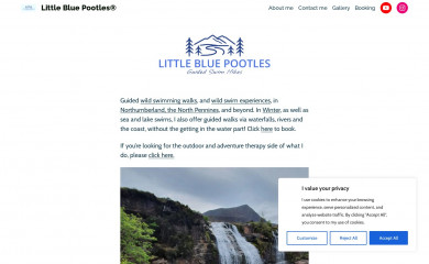 littlebluepootles.com screenshot
