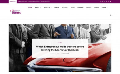 littlelioness.net screenshot