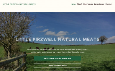 littlepirzwell.co.uk screenshot