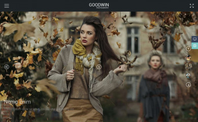 GOODWIN screenshot