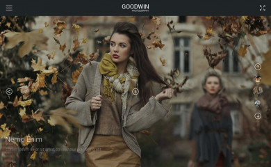 GOODWIN screenshot