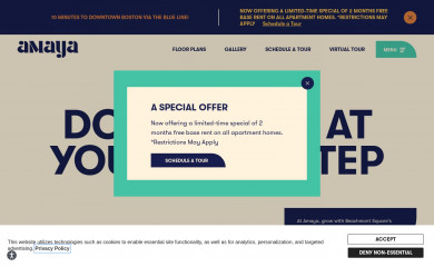 liveamaya.com screenshot