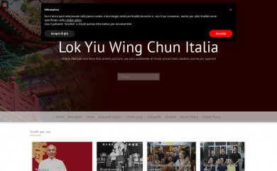 lokyiuwingchun.it screenshot