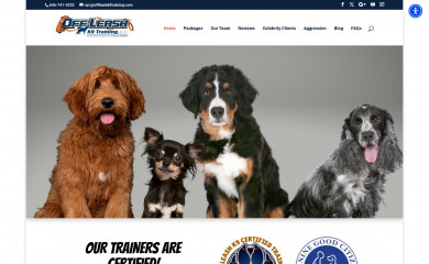 longislandnydogtrainers.com screenshot