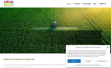 lonjadeleon.es screenshot
