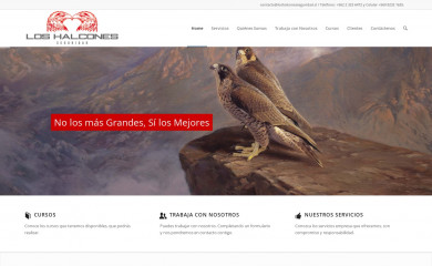 loshalconesseguridad.cl screenshot