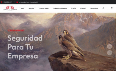 loshalconesseguridad.cl screenshot