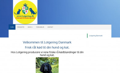lotgering.dk screenshot