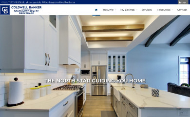 loulongo.com screenshot