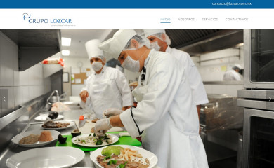 lozcar.com.mx screenshot