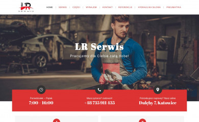 lr-serwis.pl screenshot