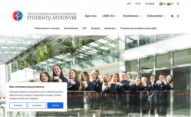 lsmusa.lt screenshot