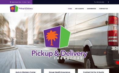 p-and-dinsurance.com screenshot