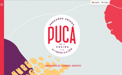 puca.org.pe screenshot