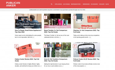 publicananker.com screenshot