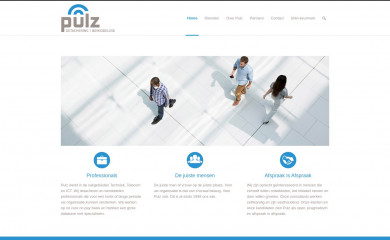 pulzdeta.nl screenshot