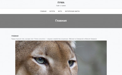 puma.ru screenshot