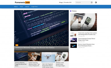 pumanesia.com screenshot