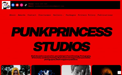 punkprincessstudios.com screenshot