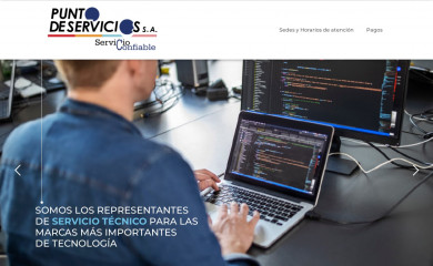puntodeservicios.com screenshot