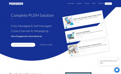 pushpros.com screenshot