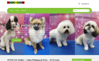 pupilon.pl screenshot