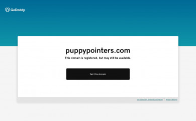 puppypointers.com screenshot