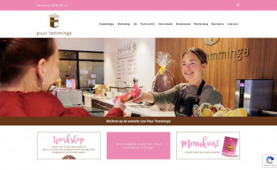 puurtamminga.nl screenshot