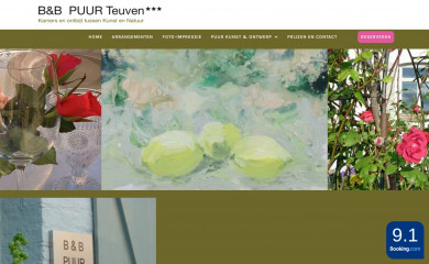 puurteuven.com screenshot