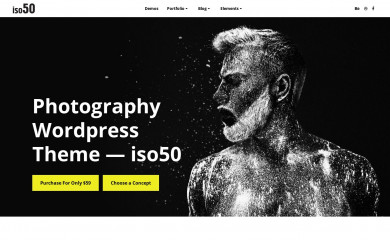 puzzlerbox.com/photography-wordpress-theme-iso50/ screenshot